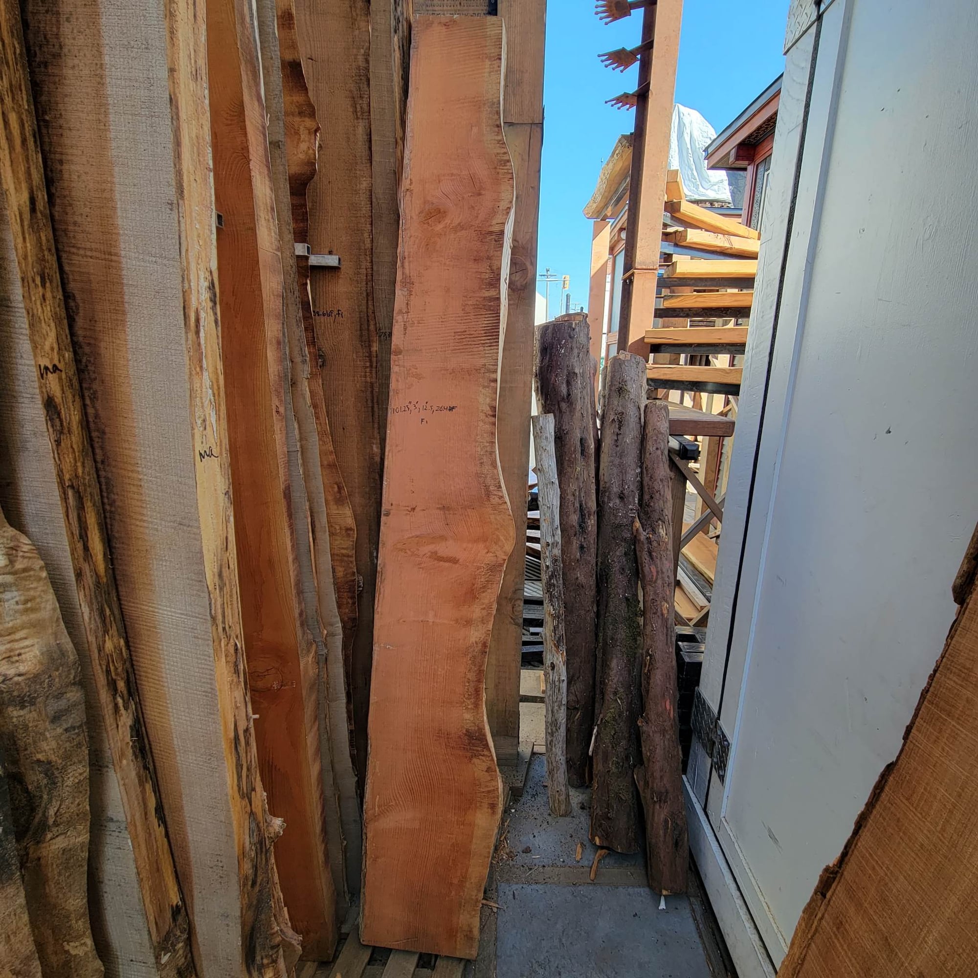 Douglas Fir